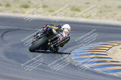 media/Apr-14-2024-SoCal Trackdays (Sun) [[70f97d3d4f]]/2-Turn 11 Backside (935am)/